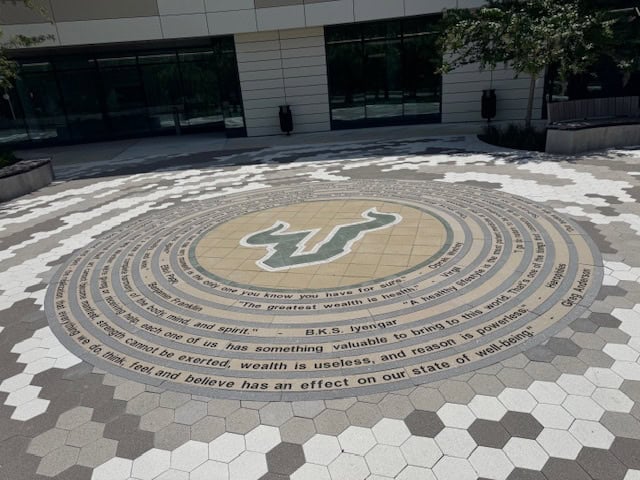 USF Wellness Project