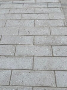 Downtown St. Pete Shell Stone Pavers