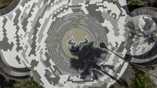 USF Wellness Center project