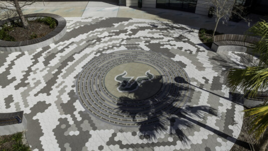 USF Wellness Center project