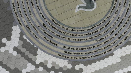 USF Wellness Center project