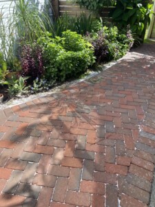 Apollo Beach Walkways